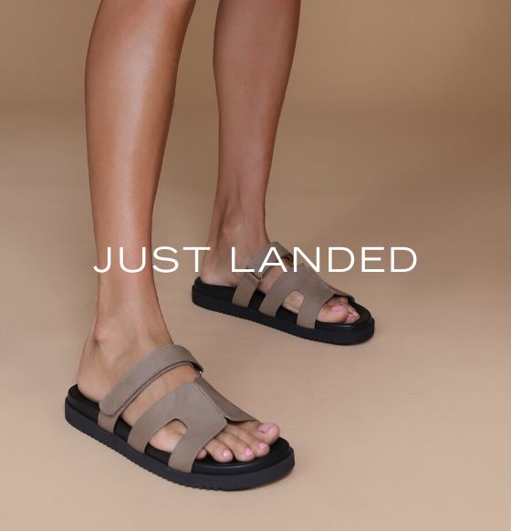 Bzees Women's Star Bright Medium/Wide Sandal | Famous Footwear
